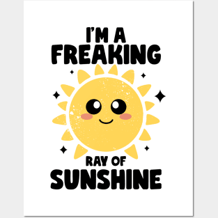 I'm a Freaking Ray of Sunshine Kindness Irony And Sarcasm Posters and Art